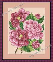 "Розовые пионы" (Анастасия), A4